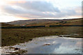 Waterlogged field at Harwood