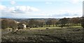 Old Camp Site, Breary banks