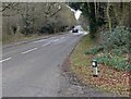 Markfield Lane at Tangle-Trees Wood