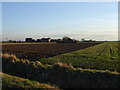 Nova Scotia Farm