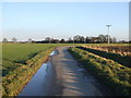 Quay lane and Mount Pleasant farm