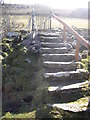 NJ4135 : Steps to footbridge over the Deveron by Stanley Howe