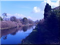 Wyrley Canal