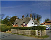 SU5828 : Thatched Cottage - New Cheriton by HackBitz