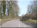 The lane to Eastwell Park viewed from the junction with Lenacre Street