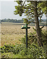 Public footpath sign nr Steeple Bumpstead