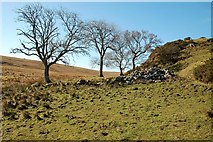 NX1387 : Ruined Cottage Near Lochton Hill by Mary and Angus Hogg