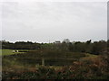 View across grazing land in the direction of Henblas Farm, Penygraigwen