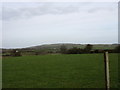 View north-eastwards across farmland at Henblas Farm