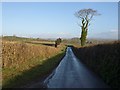 Lane to Waddon Cross