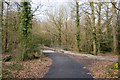 SU3916 : Path and Cycleway at Lord's Hill by Peter Facey
