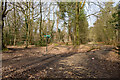 SU3916 : Bridleway junction in Lord's Wood by Peter Facey