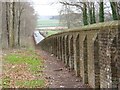 Drax Wall inside Charborough Park