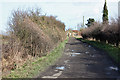 The lane to Cherry Tree cottage