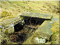 Sluice gate to disused mill lodge above Hawthorn Mill