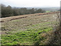 Hillside Near Bleak Acre