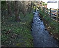 Stream, Ashburton