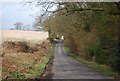 Road north of Warren Corner