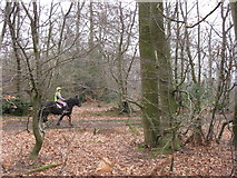 SP9208 : A Horse Rider using the Bridleway by Chris Reynolds