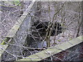 Whitewell Brook at Boothfold