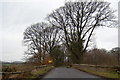 Bridge of Dean at Cardean