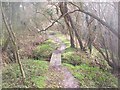 The Greensand Way goes over small footbridge