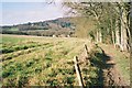 Footpath towards Upfolds Farm