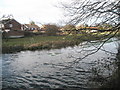 Looking across the River Ems from River Street towards Ellesmere Orchard