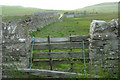 Field at Quoys, Rousay