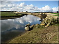 River Aln east of Lesbury