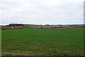 Countryside near Nether Cerne