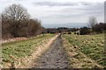 Horse Gallops on the Old Racecourse.