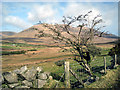 Mourne countryside