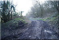 Footpath at the base of the Greensand Ridge