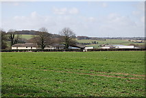 SU7335 : Norton Farm by N Chadwick