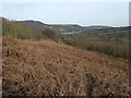 View towards Chatham, Machen