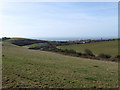 Downland Above Rottingdean