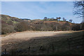 Rough grazing near Tynant