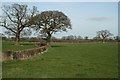 Border landscape