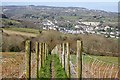 Fenced-off Footpath