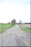 TL5709 : Lane from the church, Beauchamp Roding by MJ Reilly