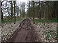 Robin Hood Way along West Drayton Avenue