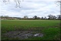 Fields near Caundle Marsh