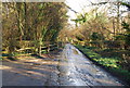 Byway heading East through Hartley Wood