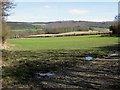 Small wood SW of Canwood Farm