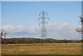 SU7537 : Pylon in the Clay Vale of the Gault Clay by N Chadwick