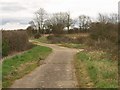 River Parrett Trail