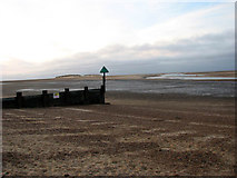TF9145 : A vast empty beach by Evelyn Simak