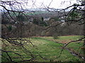 Llanbedr Ystrad Yw through the trees