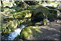 Waterfall in Beddington Park